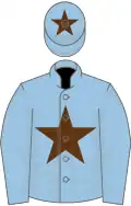 Light blue, brown star on body and cap, light blue sleeves, two brown chevrons