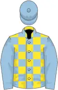 Yellow, light blue checked, light blue sleeves, light blue cap