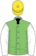 Light green, white sleeves, yellow cap