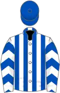 White and royal blue stripes, chevrons on sleeves, royal blue cap