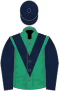 Emerald green, dark blue chevron, sleeves and cap