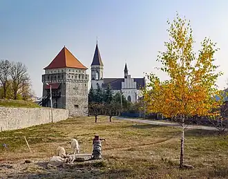 Skalat Castle and Church of Saint Anne
