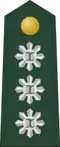 Colonel