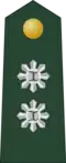 Lieutenant Colonel