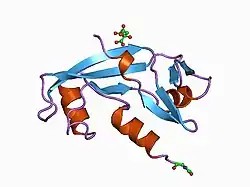 1b1i: CRYSTAL STRUCTURE OF HUMAN ANGIOGENIN