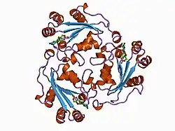 1be4: NUCLEOSIDE DIPHOSPHATE KINASE ISOFORM B FROM BOVINE RETINA