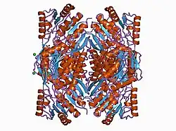 1bi9: RETINAL DEHYDROGENASE TYPE TWO WITH NAD BOUND