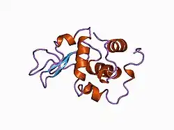 1cj6: T11A MUTANT HUMAN LYSOZYME