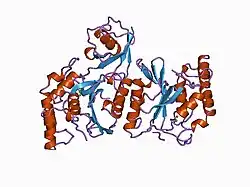 1cmx: STRUCTURAL BASIS FOR THE SPECIFICITY OF UBIQUITIN C-TERMINAL HYDROLASES