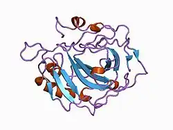 1cvf: STRUCTURAL CONSEQUENCES OF REDESIGNING A PROTEIN-ZINC BINDING SITE