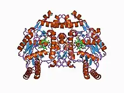 1d1x: BOVINE ENDOTHELIAL NITRIC OXIDE SYNTHASE HEME DOMAIN COMPLEXED WITH 1,4-PBITU (H4B BOUND)