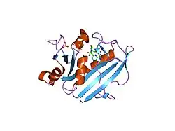 1drf: CRYSTAL STRUCTURE OF HUMAN DIHYDROFOLATE REDUCTASE COMPLEXED WITH FOLATE