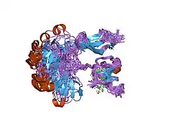 1e88: SOLUTION STRUCTURE OF 6F11F22F2, A COMPACT THREE-MODULE FRAGMENT OF THE GELATIN-BINDING DOMAIN OF HUMAN FIBRONECTIN