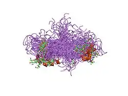 1e9j: SOLUTION STRUCTURE OF THE A-SUBUNIT OF HUMAN CHORIONIC GONADOTROPIN [INCLUDING A SINGLE GLCNAC RESIDUE AT ASN52 AND ASN78]