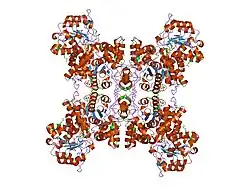 1efk: STRUCTURE OF HUMAN MALIC ENZYME IN COMPLEX WITH KETOMALONATE