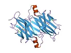 1etb: THE X-RAY CRYSTAL STRUCTURE REFINEMENTS OF NORMAL HUMAN TRANSTHYRETIN AND THE AMYLOIDOGENIC VAL 30-->MET VARIANT TO 1.7 ANGSTROMS RESOLUTION