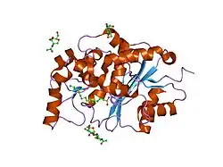 1exw: CRYSTAL STRUCTURE OF PALMITOYL PROTEIN THIOESTERASE 1 COMPLEXED WITH HEXADECYLSULFONYL FLUORIDE