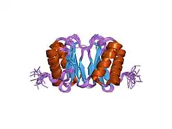 1f3c: REFINED SOLUTION STRUCTURE OF 8KDA DYNEIN LIGHT CHAIN (DLC8)