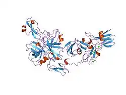 1fak: HUMAN TISSUE FACTOR COMPLEXED WITH COAGULATION FACTOR VIIA INHIBITED WITH A BPTI-MUTANT