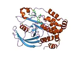 1g7g: HUMAN PTP1B CATALYTIC DOMAIN COMPLEXES WITH PNU179326