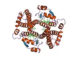 1gse: GLUTATHIONE TRANSFERASE A1-1 COMPLEXED WITH AN ETHACRYNIC ACID GLUTATHIONE CONJUGATE (MUTANT R15K)