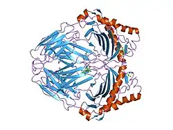 1h15: X-RAY CRYSTAL STRUCTURE OF HLA-DRA1*0101/DRB5*0101 COMPLEXED WITH A PEPTIDE FROM EPSTEIN BARR VIRUS DNA POLYMERASE