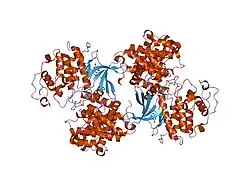 1h1p: STRUCTURE OF HUMAN THR160-PHOSPHO CDK2/CYCLIN A COMPLEXED WITH THE INHIBITOR NU2058