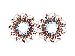 1h2i: HUMAN RAD52 PROTEIN, N-TERMINAL DOMAIN