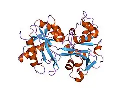 1h45: R210G N-TERMINAL LOBE HUMAN LACTOFERRIN