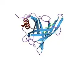 1hbp: CRYSTAL STRUCTURE OF LIGANDED AND UNLIGANDED FORMS OF BOVINE PLASMA RETINOL-BINDING PROTEIN
