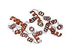 1hvg: STRUCTURAL AND ELECTROPHYSIOLOGICAL ANALYSIS OF ANNEXIN V MUTANTS. MUTAGENESIS OF HUMAN ANNEXIN V, AN IN VITRO VOLTAGE-GATED CALCIUM CHANNEL, PROVIDES INFORMATION ABOUT THE STRUCTURAL FEATURES OF THE ION PATHWAY, THE VOLTAGE SENSOR AND THE ION SELECTIVITY FILTER