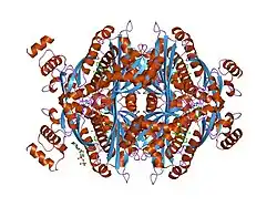 1hwi: COMPLEX OF THE CATALYTIC PORTION OF HUMAN HMG-COA REDUCTASE WITH FLUVASTATIN