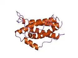 1il6: HUMAN INTERLEUKIN-6, NMR, MINIMIZED AVERAGE STRUCTURE
