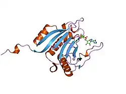 1ipb: CRYSTAL STRUCTURE OF EUKARYOTIC INITIATION FACTOR 4E COMPLEXED WITH 7-METHYL GPPPA