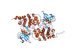 1j1b: Binary complex structure of human tau protein kinase I with AMPPNP