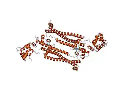 1j1d: Crystal structure of the 46kDa domain of human cardiac troponin in the Ca2+ saturated form