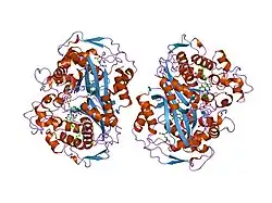 1juj: Human Thymidylate Synthase Bound to dUMP and LY231514, a Pyrrolo(2,3-d)pyrimidine-based Antifolate