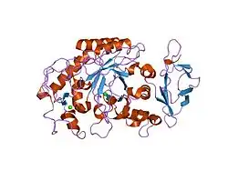 1jxj: Role of mobile loop in the mechanism of human salivary amylase