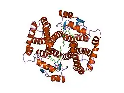 1k3y: Crystal Structure Analysis of human Glutathione S-transferase with S-hexyl glutatione and glycerol at 1.3 Angstrom
