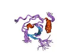 1k4u: Solution structure of the C-terminal SH3 domain of p67phox complexed with the C-terminal tail region of p47phox