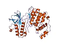 1lez: Crystal structure of MAP kinase p38 complexed to the docking site on its activatoR MKK3B