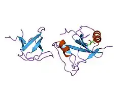1m27: Crystal structure of SAP/FynSH3/SLAM ternary complex