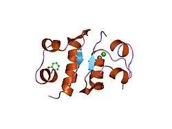 1mpj: X-RAY CRYSTALLOGRAPHIC STUDIES ON HEXAMERIC INSULINS IN THE PRESENCE OF HELIX-STABILIZING AGENTS, THIOCYANATE, METHYLPARABEN AND PHENOL