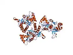 1mxu: CRYSTAL STRUCTURE OF THE GLUR2 LIGAND BINDING CORE (S1S2J) in complex with bromo-willardiine (Control for the crystal titration experiments)