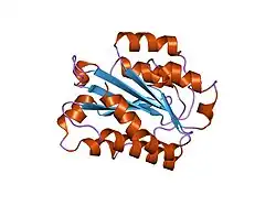 1n3y: Crystal structure of the alpha-X beta2 integrin I domain
