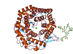 1nxc: Structure of mouse Golgi alpha-1,2-mannosidase IA reveals the molecular basis for substrate specificity among Class I enzymes (family 47 glycosidases)