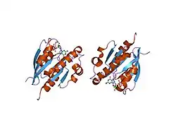 1o3y: Crystal structure of mouse ARF1 (delta17-Q71L), GTP form