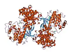 1ogu: STRUCTURE OF HUMAN THR160-PHOSPHO CDK2/CYCLIN A COMPLEXED WITH A 2-ARYLAMINO-4-CYCLOHEXYLMETHYL-5-NITROSO-6-AMINOPYRIMIDINE INHIBITOR