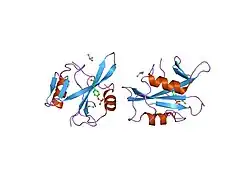 1p13: Crystal Structure of the Src SH2 Domain Complexed with Peptide (SDpYANFK)