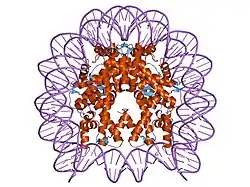 1p34: Crystallographic Studies of Nucleosome Core Particles containing Histone 'Sin' Mutants